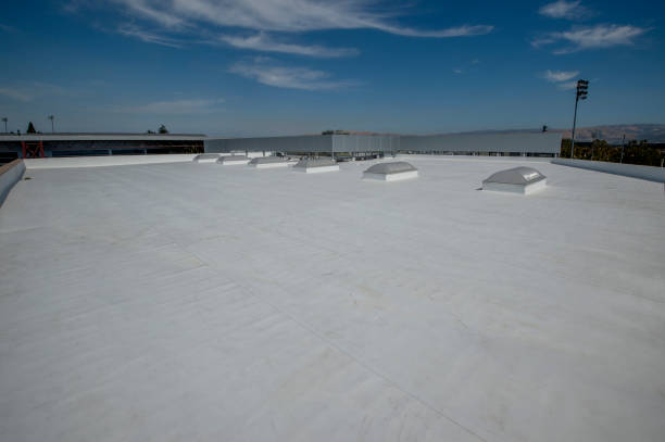 Best Green or Eco-Friendly Roofing Solutions  in Lincoln Park, MI