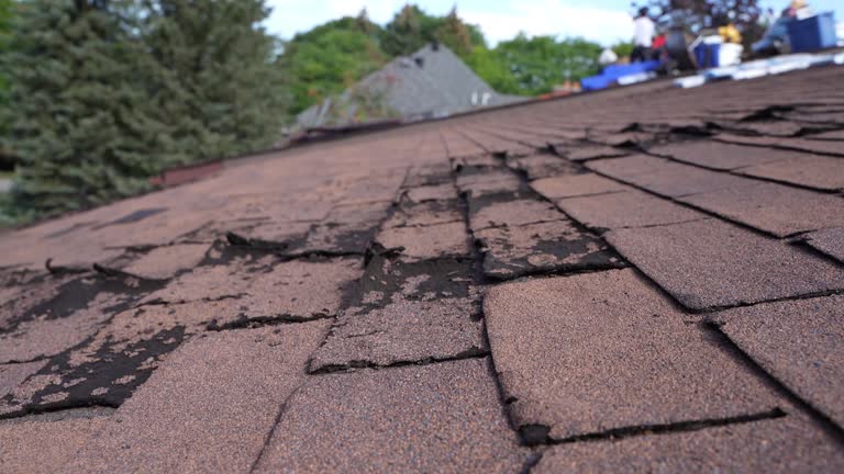 Best Rubber Roofing (EPDM, TPO)  in Lincoln Park, MI