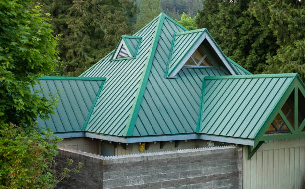 Best Asphalt Shingle Roofing  in Lincoln Park, MI