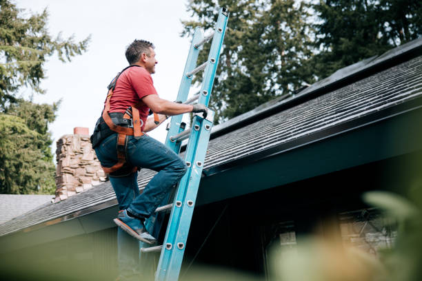 Best Emergency Roof Repair Services  in Lincoln Park, MI