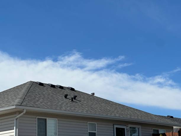Best Emergency Roof Repair Services  in Lincoln Park, MI